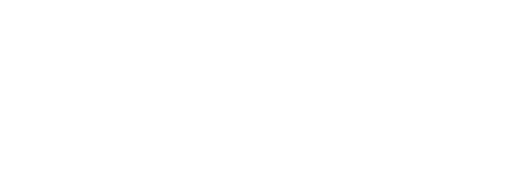 Tech Executive Capability Center LLC